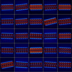 Kryoelektronenmikroskopie Abbildungen eines Flagellum-Filaments