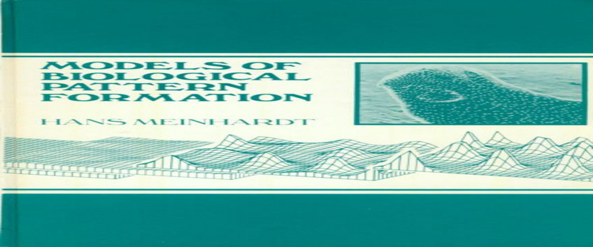 Download of "Models of Biological pattern formation" Download of "Models of Biological pattern formation"