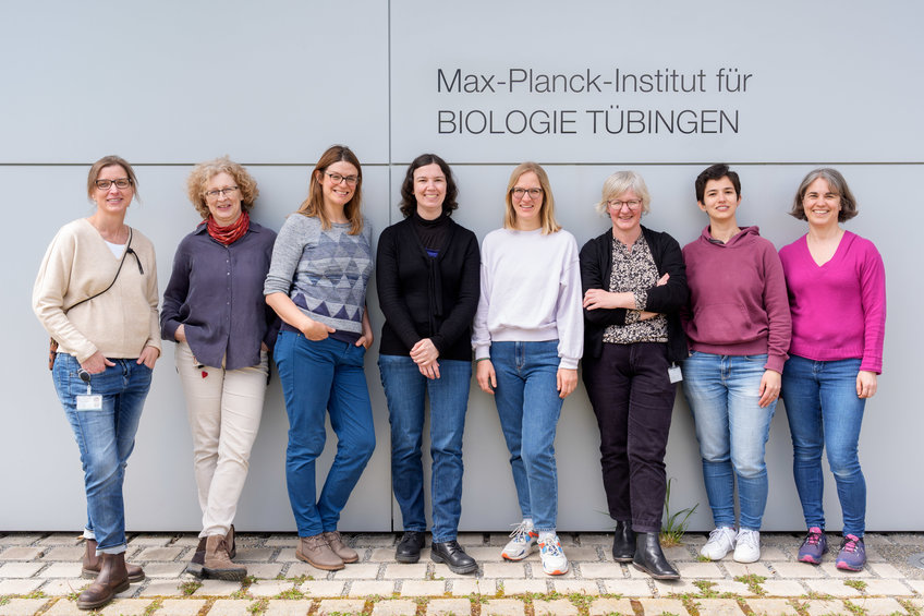 Researcher Support Das Research Support Team