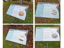 Informationstafeln zum Science Walk. Sie befinden sich entlang des Max-Planck-Rings und führen um das Fischhaus herum.