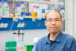 Masakazu Hoshino