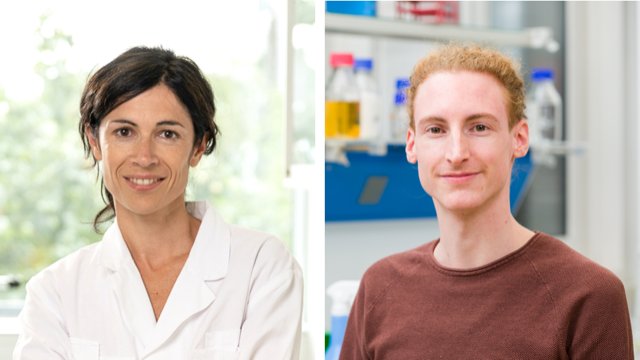 Podcast Susana Coelho and Daniel Liesner