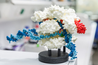Protein Evolution - Andrei Lupas 